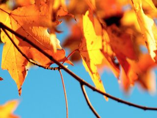 7 x blij dat het weer herfst is