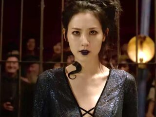 Is het personage Nagini in Fantastic Beast racistisch?