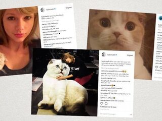 De pijnlijke waarheid achter de katten van Taylor Swift en Ed Sheeran