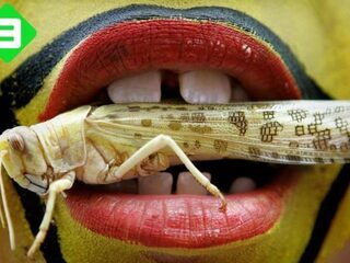 Dit is het smerigste eten ter wereld