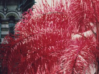 'Everything Not Saved Will Be Lost' van Foals is Album van de Week!