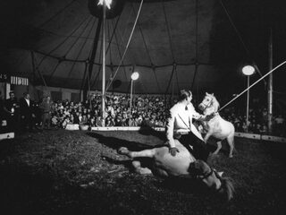 'Dogrel' van Fontaines D.C. is Album van de Week