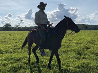 Reisverhalen van Chris Zegers: "M'n tent werd leeggeroofd én ik veroorzaakte een ongeluk"
