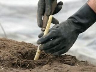 Alle vakantiebaantjes op een rij!