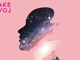 Blende - 'Fake Love (The Living Islands ‘Tropical Doom’ remix)'