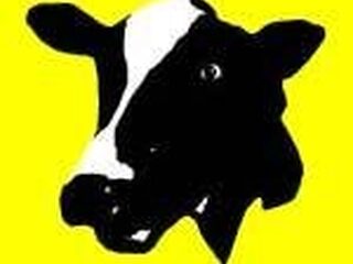 3FM houdt Weekend van de NL Pop