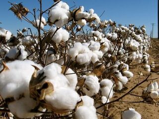 Jouw jeans is veel te goedkoop en dit is waardoor dat komt