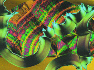 Django Django - 'Waveforms'