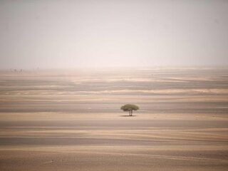 Hoe kan het dat er nu Saharazand door Nederlandse lucht dwarrelt?