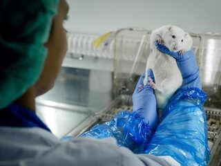 Hoe zit het anno 2019 met proefdieren?