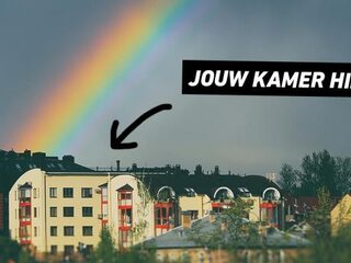 Hospiteren: The Do's & (vooral) Don'ts