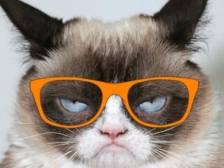 7 tips om warm te blijven tijdens Koningsdag