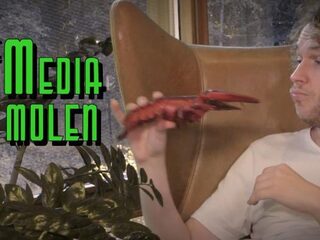De Mediamolen: de uitgids om voor binnen te blijven