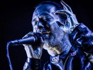 Nieuwe mierensoort vernoemd naar Radiohead