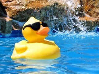 Welkom op de 3FM Pool Party!