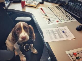 Meneer Alfie is onze leukste dj, nieuwslezer én producer