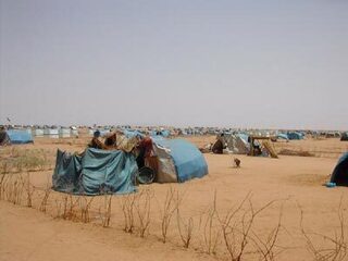 Zalingei, oase in de woestijn