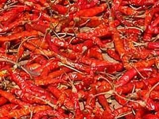 Handige tip voor Louis van Gaal en Oranje