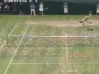 Streaker Lantinga opgepakt