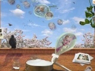 Kunstwerk van Nieuws uit de Natuur op de veiling