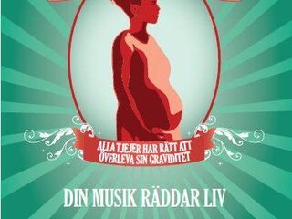 Zweedse Glazen Huis goed voor 3.147.815,- euro