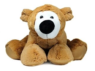 Teddybeer in de webshop