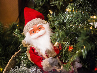 3FM SR15 21 dec: Volg alles live via ons blog!