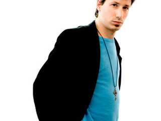 Wisselweblog met Martijn Muijs