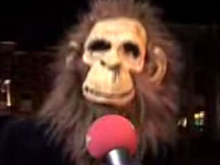 Help! Een aap op 't Plein