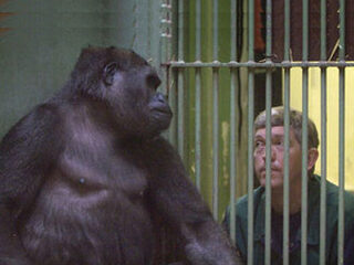 3FM NOS Headlines Jaaroverzicht