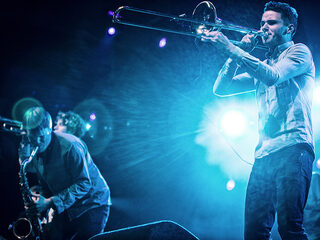 Check de Jungle By Night show in Bravo