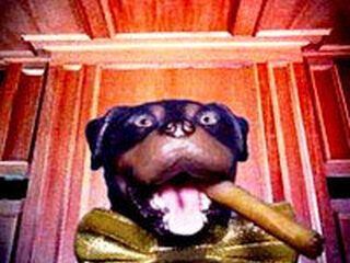 Weersverwachtingen voor het weekend