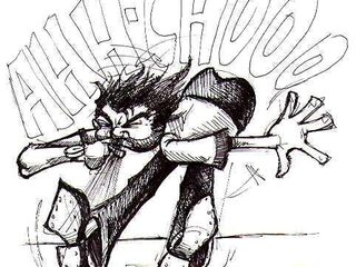 Hooikoorts voor gevorderden