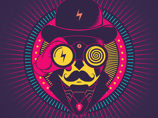 Racoon, DI-RECT, Sidney Samson en meer acts op Paaspop 2015