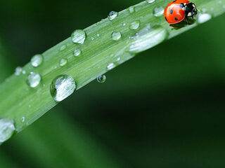 Geluk op vrijdag de dertiende