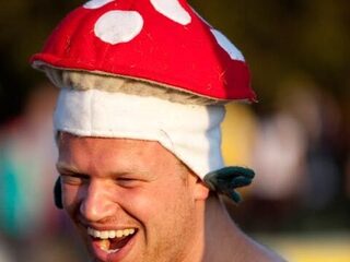 Eerste namen Sziget bekend