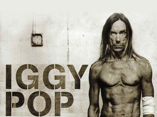 Down The Rabbit Hole