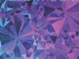 Field Music is Freakandel Speciaal!