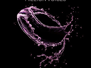 Sample Tuesday: Otto Knows - 'Million Voices'