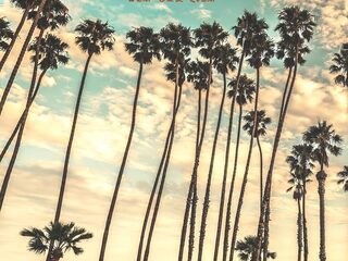 Live muziek @ KX (week 3)