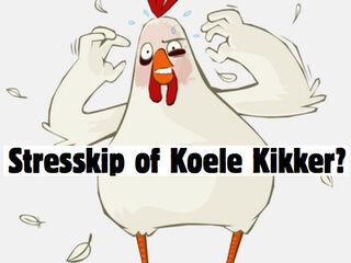 Test jezelf: Ben je een stresskip of koele kikker?