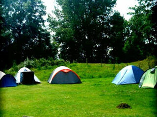 Wat is Lowlands For Life?