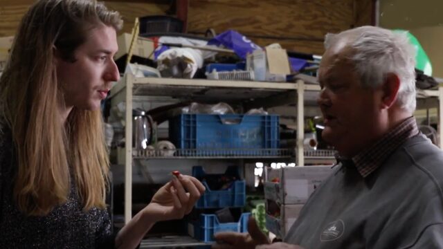 Frank <3: Power To The Pieper