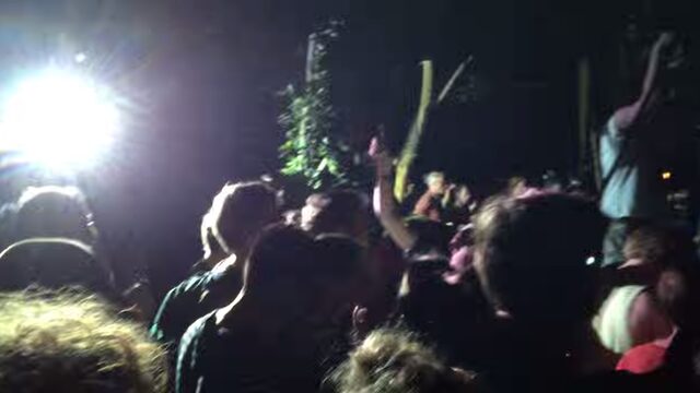 Een geheime bosrave in het konijnenhol