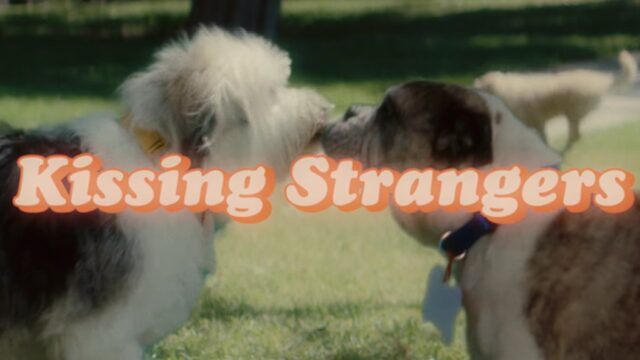 Check deze speeddatende hondjes in de nieuwe video van DNCE