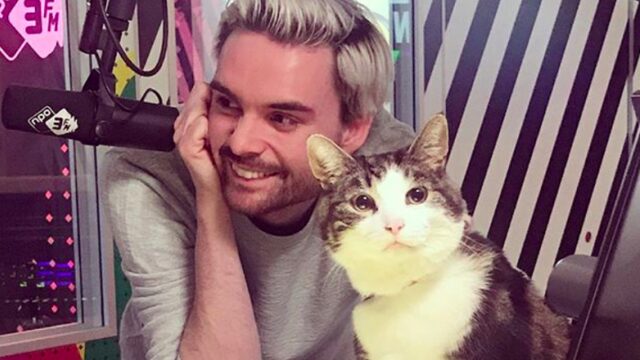 Domien heeft hoofdrolspelers van 'De Wilde Stad' op bezoek