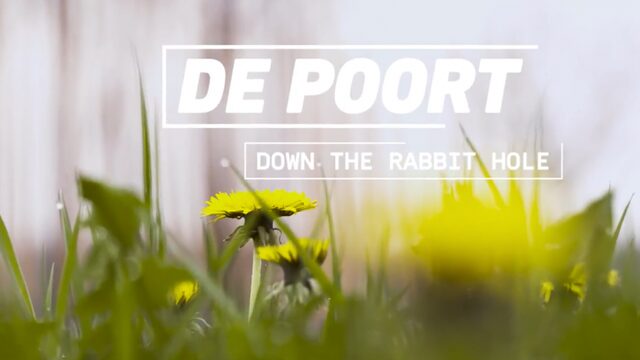 Zo ziet de nieuwe toegangspoort van Down The Rabbit Hole er uit