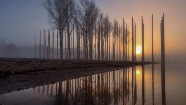 Waarom heeft DTRH dit jaar een nieuwe toegangspoort?