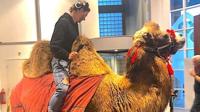 Sander eindigt op kameel na dropping in Otterlo