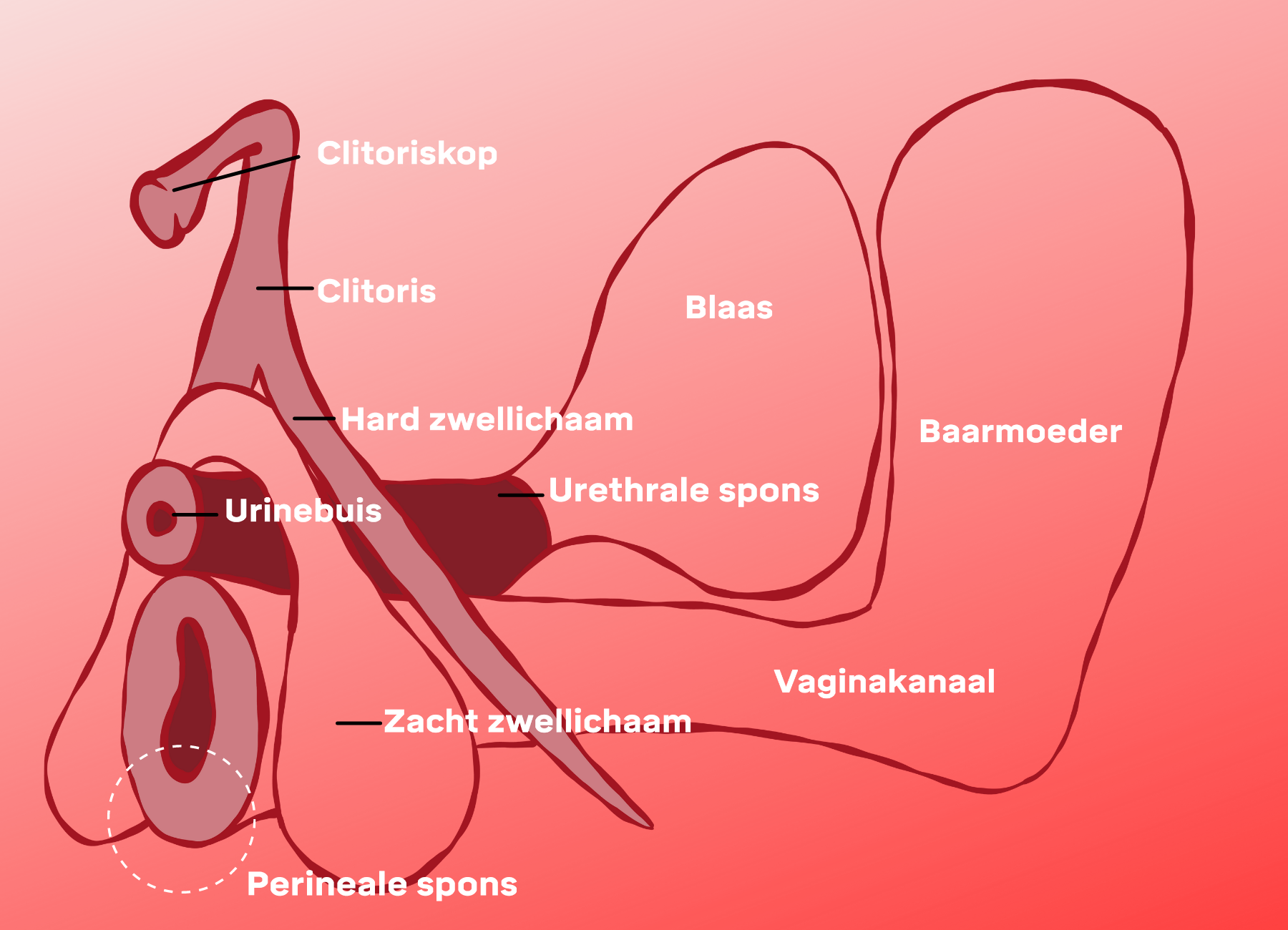 Rus erotik porno Vaginal massaj porno